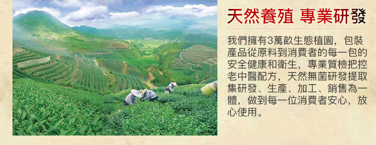 減肥茶
